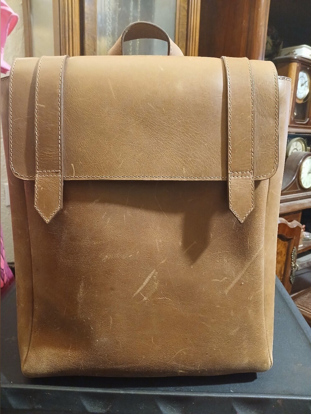 Able Leather Back Pack
